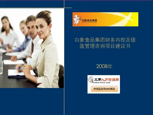 茅-白象食品集团财务内控及绩效管理咨询项目建议书ppt课件