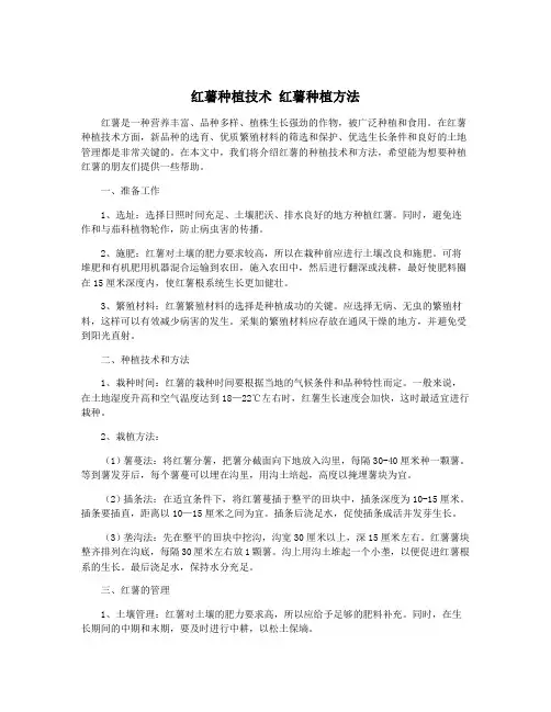 红薯种植技术 红薯种植方法