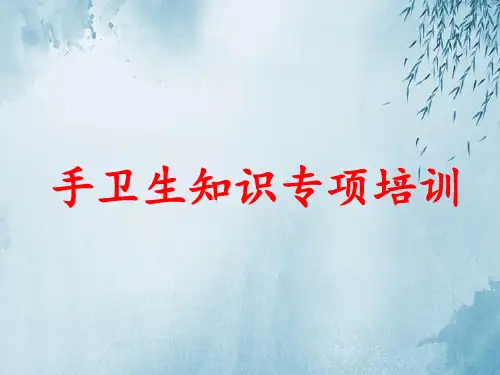 手卫生知识专项培训ppt