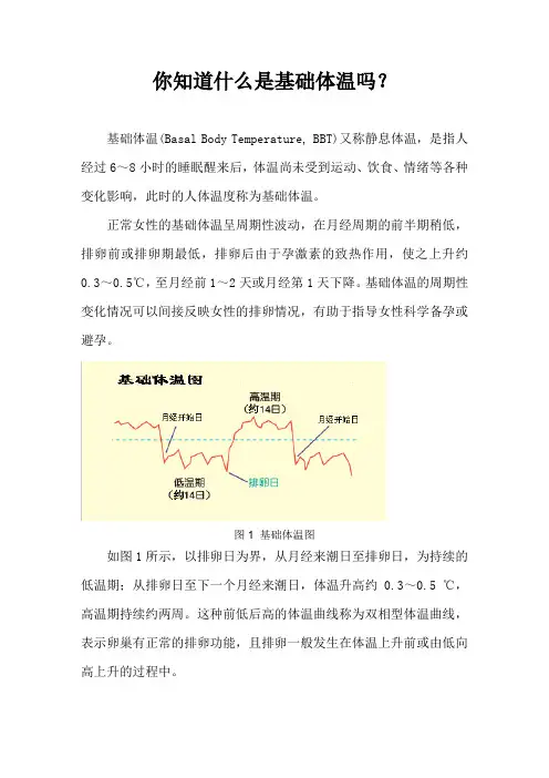 什么是基础体温