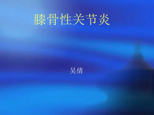 膝骨性关节炎PPT课件