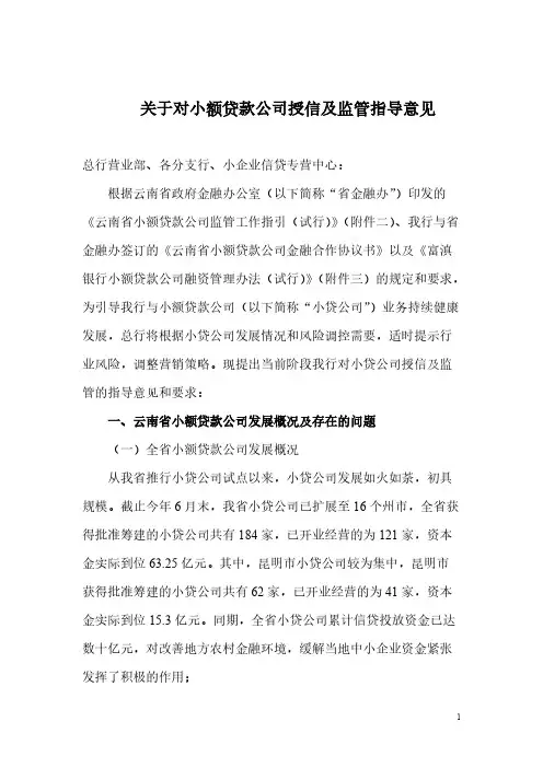 《关于对小额贷款公司授信及监管指导意见》