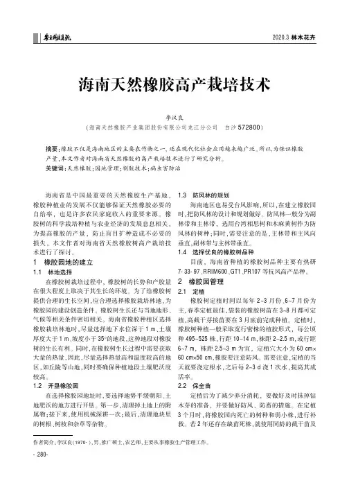 海南天然橡胶高产栽培技术