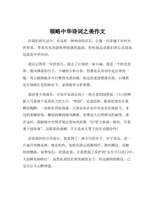 领略中华诗词之美作文