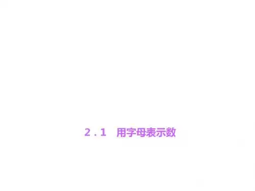 七年级数学上册(湘教版)课件：2.1 用字母表示数