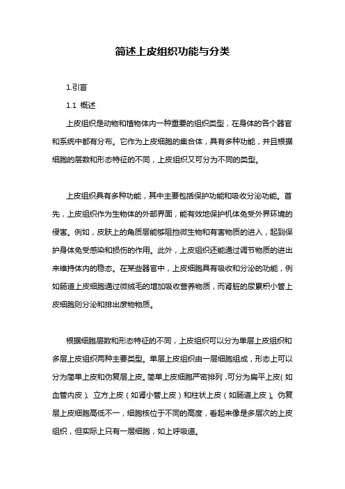 简述上皮组织功能与分类