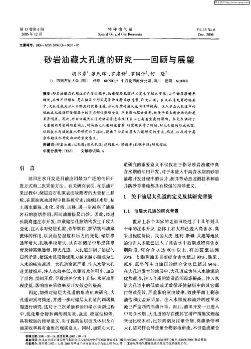 砂岩油藏大孔道的研究——回顾与展望