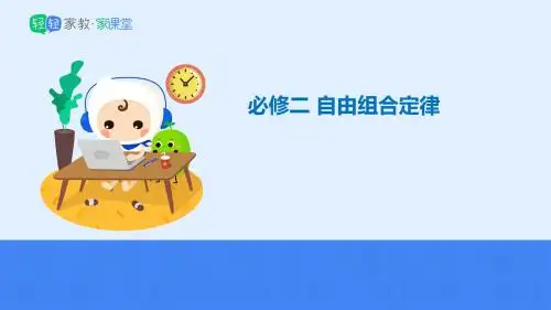 自由组合定律