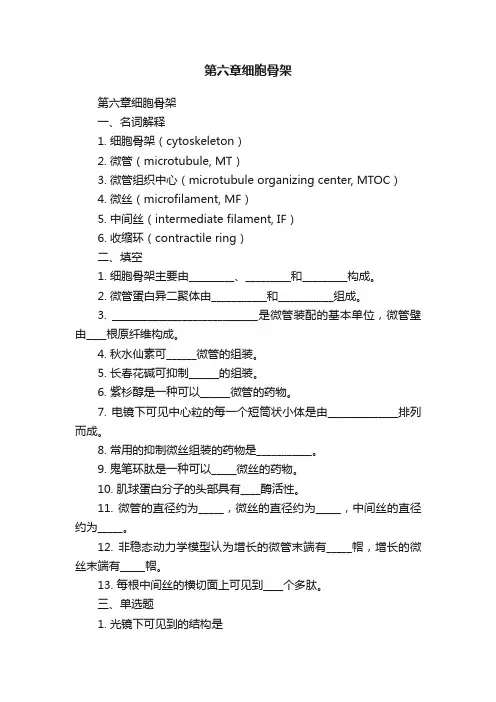 第六章细胞骨架