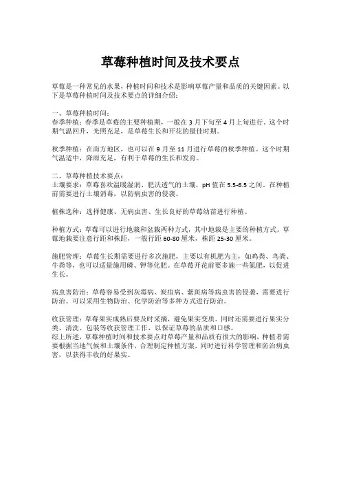 草莓种植时间及技术要点