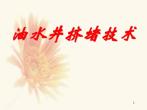井下作业技术油水井措施挤堵解析课堂PPT