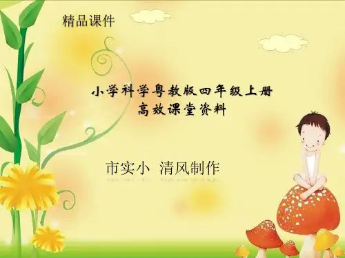 小学科学粤教版四年级上册《岩石》课件