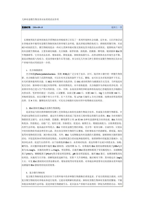 几种有益微生物及其对水质的改良作用