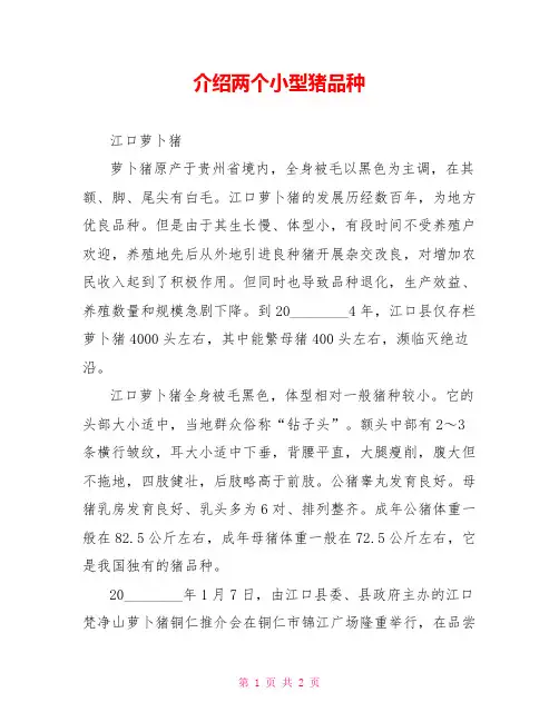 介绍两个小型猪品种