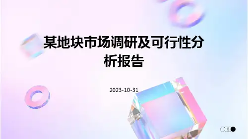 某地块市场调研及可行性分析报告