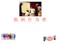 组织行为学ppt课件