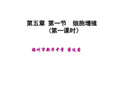 细胞增殖ppt38 优秀课件