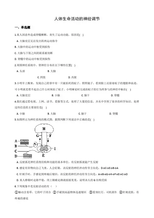 2020—2021学年华东师大版科学八年级下册 7.2人体生命活动的神经调节 (1)