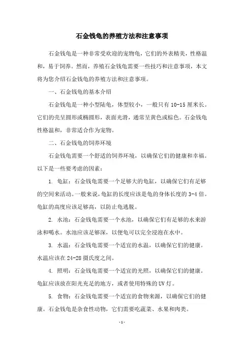 石金钱龟的养殖方法和注意事项