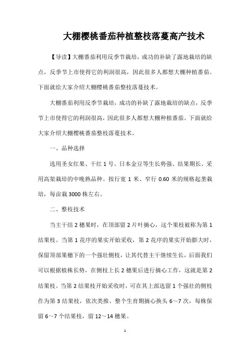 大棚樱桃番茄种植整枝落蔓高产技术