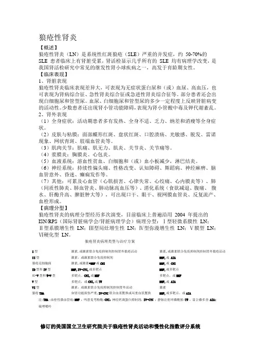 狼疮性肾炎临床指南