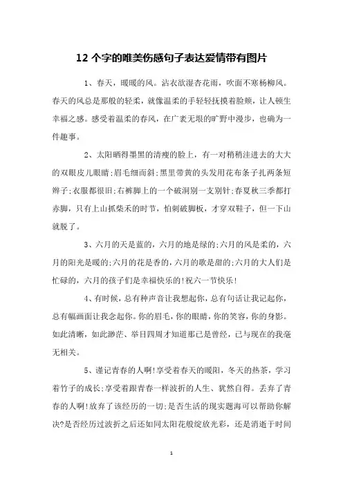 12个字的唯美伤感句子表达爱情带有图片