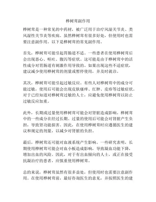 桦树茸副作用