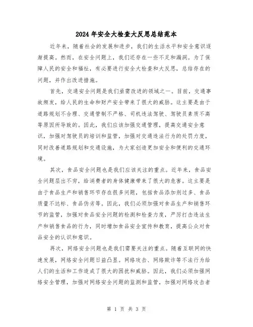 2024年安全大检查大反思总结范本(二篇)