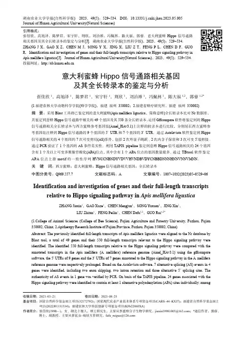 意大利蜜蜂Hippo_信号通路相关基因及其全长转录本的鉴定与分析