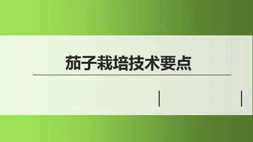茄子栽培技术要点课件
