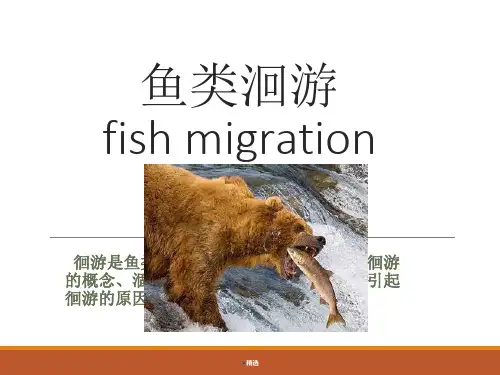 鱼类洄游(总)详细版.ppt