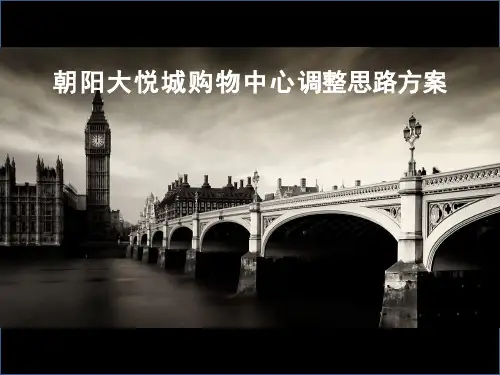 北京朝阳大悦城购物中心调整思路方案