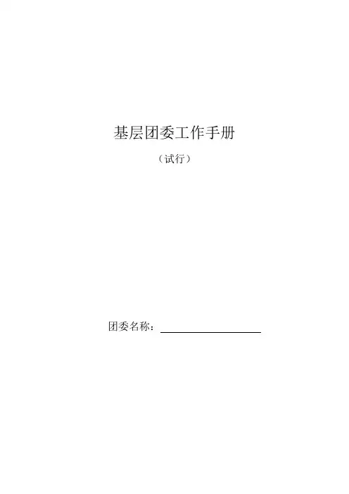 团委工作手册