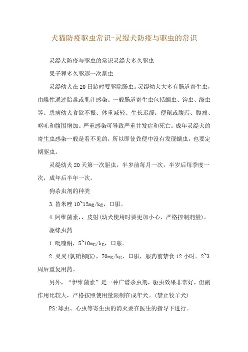 犬猫防疫驱虫常识-灵缇犬防疫与驱虫的常识