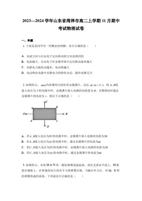 2023—2024学年山东省菏泽市高二上学期11月期中考试物理试卷