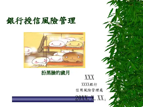 银行授信风险管理.pptx