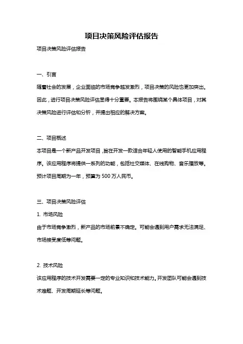 项目决策风险评估报告
