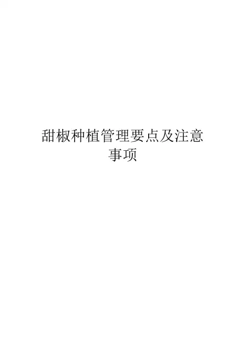 甜椒种植管理要点及注意事项