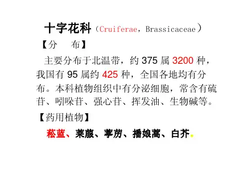 十字花科、蔷薇科、豆科、芸香科