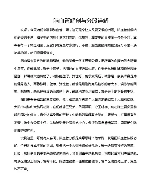 脑血管解剖与分段详解