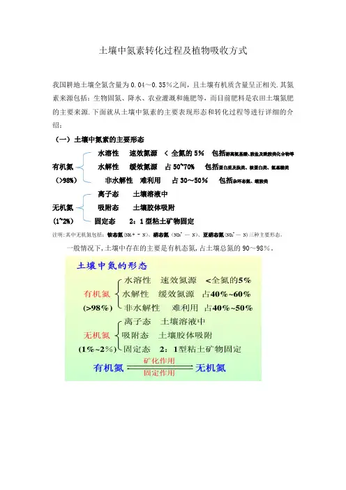 土壤中氮素转化过程及植物吸收方式(土壤部分初稿)