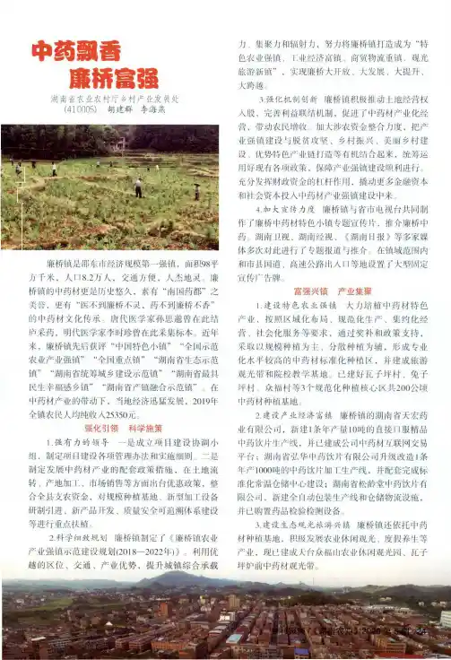 中药飘香 廉桥富强