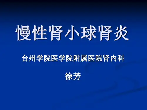 慢性肾小球肾炎