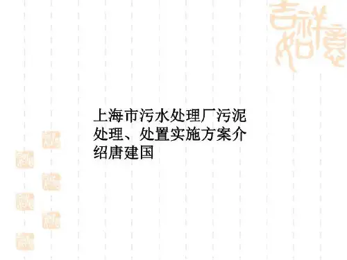 上海市污水处理厂污泥处理、处置实施方案介绍唐建国
