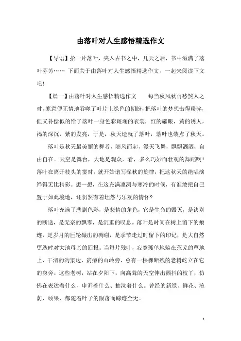 由落叶对人生感悟精选作文