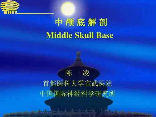 02-中颅底解剖