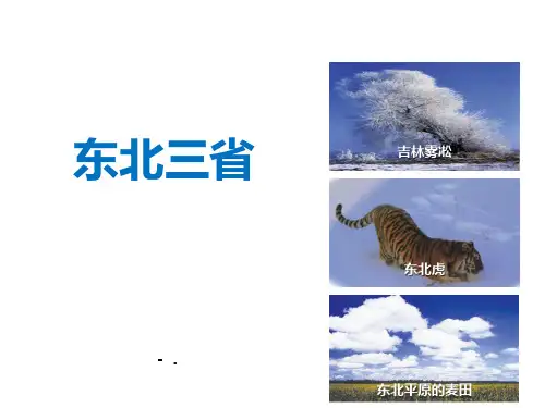 《东北三省》PPT优秀课件