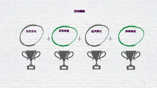互联网+路演ppt课件