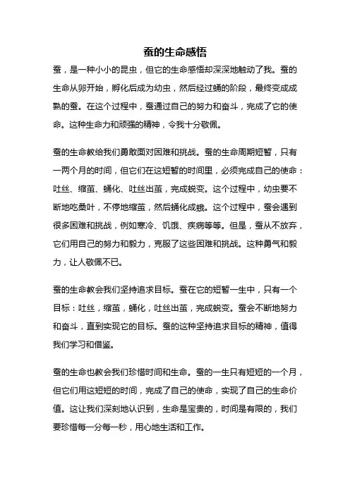 蚕的生命感悟