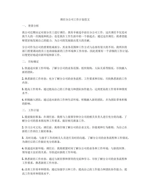 调任分公司工作计划范文